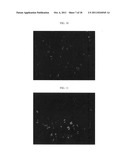 Polymeric carriers for immunohistochemistry and in situ hybridization diagram and image