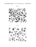 Polymeric carriers for immunohistochemistry and in situ hybridization diagram and image