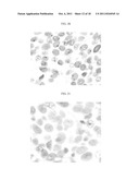 Polymeric carriers for immunohistochemistry and in situ hybridization diagram and image