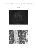 Polymeric carriers for immunohistochemistry and in situ hybridization diagram and image