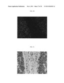 Polymeric carriers for immunohistochemistry and in situ hybridization diagram and image