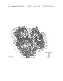 DNA Polymerases Having Improved Labeled Nucleotide Incorporation     Properties diagram and image