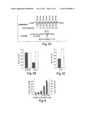 RNA SEQUENCE-SPECIFIC MEDIATORS OF RNA INTERFERENCE diagram and image