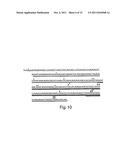 RNA SEQUENCE-SPECIFIC MEDIATORS OF RNA INTERFERENCE diagram and image