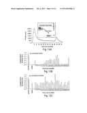 RNA SEQUENCE-SPECIFIC MEDIATORS OF RNA INTERFERENCE diagram and image