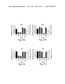 RNA SEQUENCE-SPECIFIC MEDIATORS OF RNA INTERFERENCE diagram and image