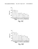 RNA SEQUENCE-SPECIFIC MEDIATORS OF RNA INTERFERENCE diagram and image