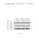 VOLUME EXCLUSION AGENT TO ENHANCE FORMATION OF EXTRACELLULAR MATRIX diagram and image