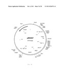 INTERGENIC REGIONS AS INSERTION SITES IN THE GENOME OF MODIFIED VACCINIA     VIRUS ANKARA (MVA) diagram and image