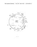 INTERGENIC REGIONS AS INSERTION SITES IN THE GENOME OF MODIFIED VACCINIA     VIRUS ANKARA (MVA) diagram and image