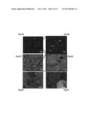 Large Scale High Quality Graphene Nanoribbons From Unzipped Carbon     Nanotubes diagram and image