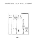 DETECTION OF MICROBIAL NUCLEIC ACIDS diagram and image