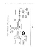 PREDICTING RESPONSE TO A HER INHIBITOR diagram and image