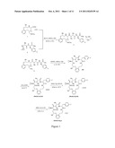 Salts, Solvates and Pharmaceutical Compositions of Macrocyclic Ghrelin     Receptor Agonists and Methods of Using the Same diagram and image