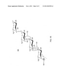 ENHANCED TREATMENTS TO KILL OR DEBILITATE PATHOGENIC MICROORGANISMS OF A     MAMMALIAN BODY diagram and image