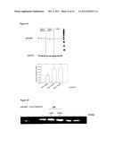 TREATMENT diagram and image