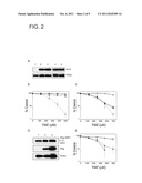 N-METHYLPURINE DNA GLYCOSYLASE AND POLYMERASE BETA AS BIOMARKERS FOR     ALKYLATOR CHEMOTHERAPY POTENTIATION diagram and image