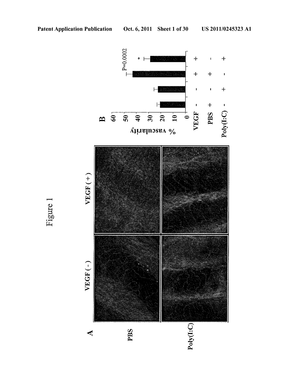 RIG-Like Helicase Innate Immunity Inhibits VEGF-Induced Tissue Responses - diagram, schematic, and image 02