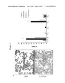 RIG-Like Helicase Innate Immunity Inhibits VEGF-Induced Tissue Responses diagram and image