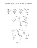 Oligonucleotide Analogues diagram and image