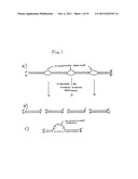 DOUBLE-STRANDED RNA STRUCTURES AND CONSTRUCTS, AND METHODS FOR GENERATING     AND USING THE SAME diagram and image