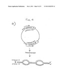 DOUBLE-STRANDED RNA STRUCTURES AND CONSTRUCTS, AND METHODS FOR GENERATING     AND USING THE SAME diagram and image