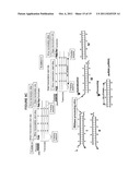 DOUBLE-STRANDED RNA STRUCTURES AND CONSTRUCTS, AND METHODS FOR GENERATING     AND USING THE SAME diagram and image