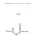 DOUBLE-STRANDED RNA STRUCTURES AND CONSTRUCTS, AND METHODS FOR GENERATING     AND USING THE SAME diagram and image