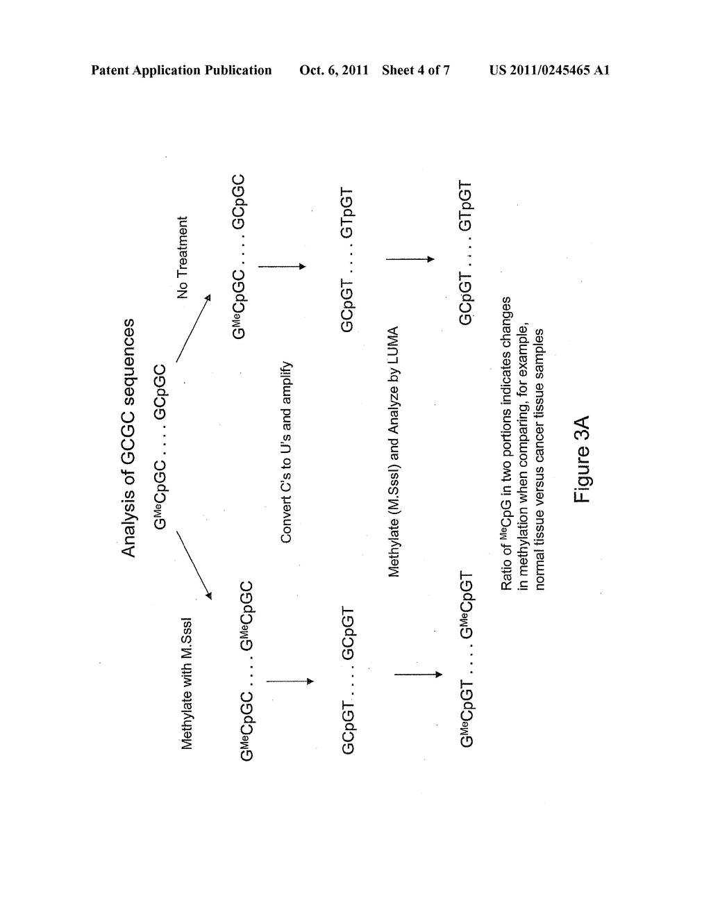 Methods for Detection of Methyl-CpG Dinucleotides - diagram, schematic, and image 05