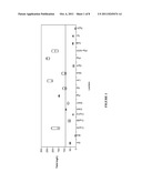 METHODS FOR G-CSF PRODUCTION IN A PSEUDOMONAS HOST CELL diagram and image