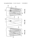 BLOOD VESSEL DISPLAY DEVICE diagram and image