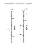 TISSUE EXCISION DEVICE WITH AN INDEPENDENT NEEDLE diagram and image