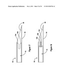 TISSUE EXCISION DEVICE WITH AN INDEPENDENT NEEDLE diagram and image