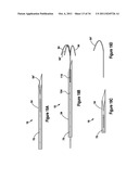 TISSUE EXCISION DEVICE WITH AN INDEPENDENT NEEDLE diagram and image