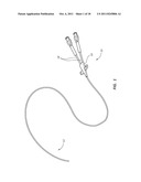 REINFORCED MULTI-LUMEN CATHETER AND METHODS FOR MAKING SAME diagram and image