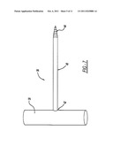 SPINAL FIXATOR AND METHOD OF USE THEREOF diagram and image