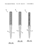 SPINAL FIXATOR AND METHOD OF USE THEREOF diagram and image