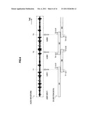 INFORMATION PROCESSING DEVICE, INFORMATION PROCESSING METHOD, AND PROGRAM diagram and image