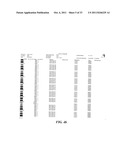 System and Method for Detecting Healthcare Insurance Fraud diagram and image