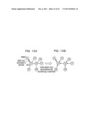 DATA MANAGEMENT APPARATUS AND METHOD diagram and image