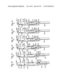 DISK UNIT FOR CONVEYING DISKS OF DIFFERENT DIAMETERS diagram and image