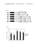 METHOD OF EXPRESSION OF FOREIGN GENE IN PLANT INDUCED BY CHEMICAL     SUBSTANCE diagram and image