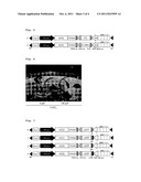 METHOD OF EXPRESSION OF FOREIGN GENE IN PLANT INDUCED BY CHEMICAL     SUBSTANCE diagram and image