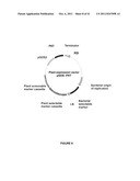 Plants Having Enhanced Abiotic Stress Tolerance and/or Enhanced     Yield-Related Traits and a Method for Making the Same diagram and image