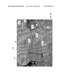 UNMANNED AERIAL VEHICLE HAVING AN IMPROVED AERODYNAMIC CONFIGURATION diagram and image