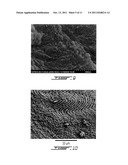INORGANIC MESOPOROUS MATERIALS WITH CHIRAL NEMATIC STRUCTURES AND     PREPARATION METHOD THEREOF diagram and image