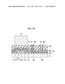 ELECTROPHORETIC DISPLAY DEVICE AND ELECTRONIC APPARATUS diagram and image