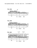 ELECTROPHORETIC DISPLAY DEVICE AND ELECTRONIC APPARATUS diagram and image