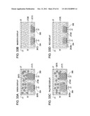 ELECTROPHORETIC DISPLAY DEVICE AND ELECTRONIC APPARATUS diagram and image