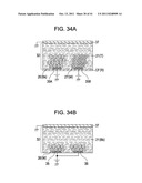 ELECTROPHORETIC DISPLAY DEVICE AND ELECTRONIC APPARATUS diagram and image